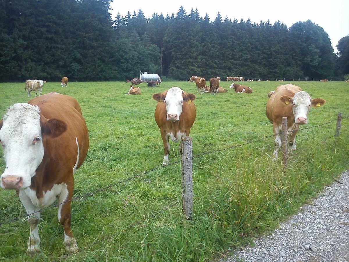 Ferienwohnung Auf Dem Lechsberg Fuchstal Buitenkant foto
